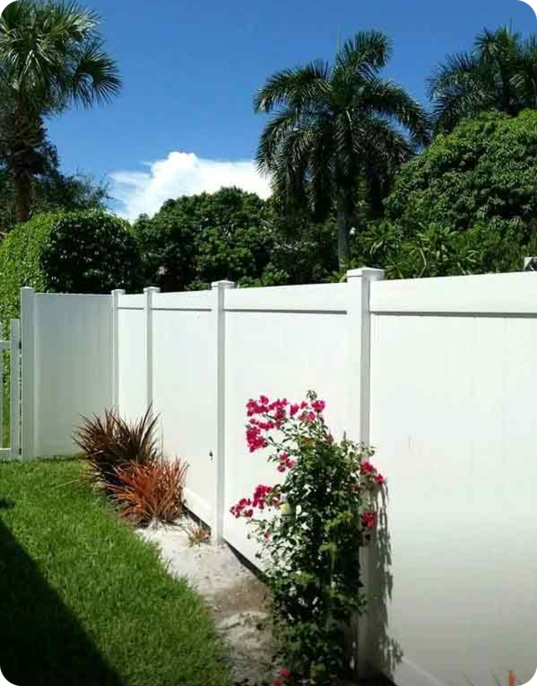 White vinyl privacy fence with landscaping by Premier Fence of SWFL